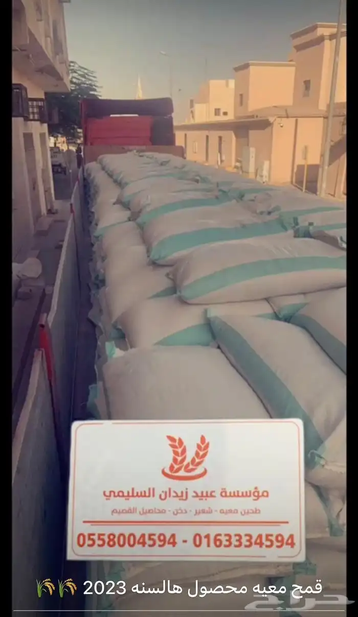 طحين معية ( بر معية ) 9