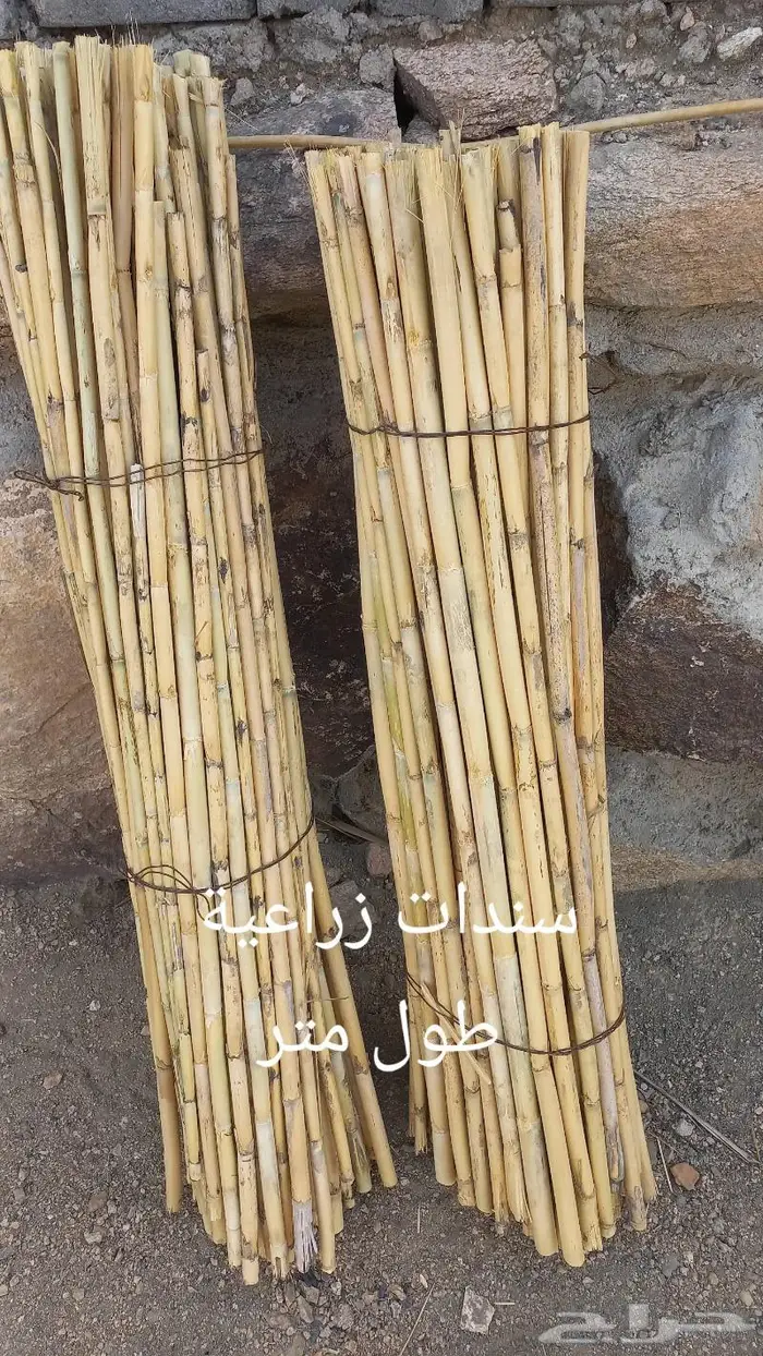 سندات للاشجار 0