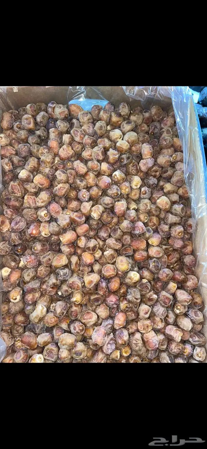 عروض على اجود انواع التمور 5