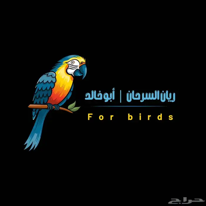 دره البينو عيون حمرا مجنونه كلام ومجنونه ولافه وهدد تم البيع 7