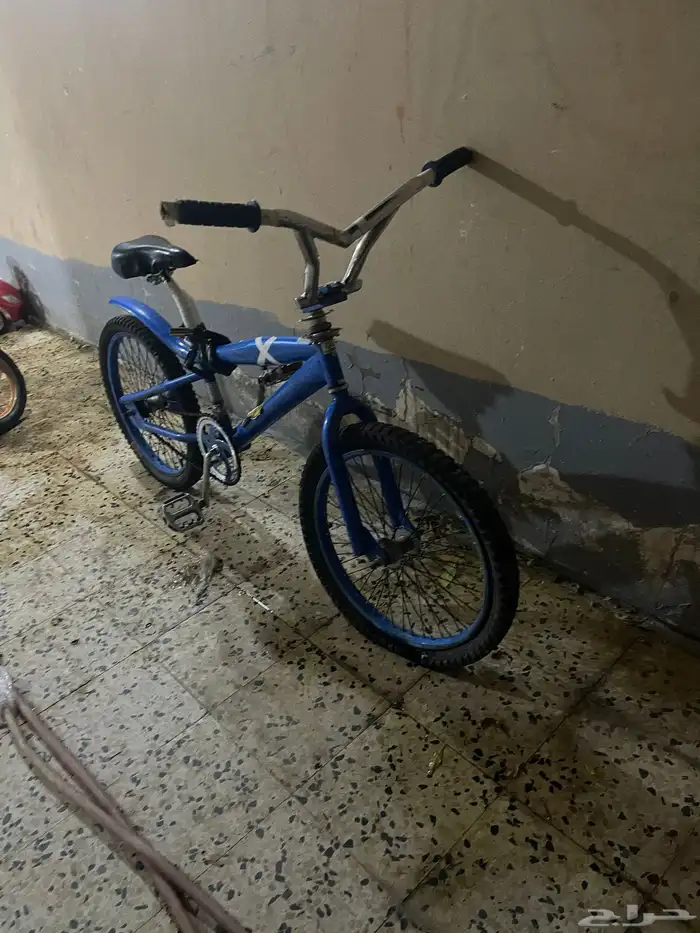 كوبرا ازرق للبيع 1