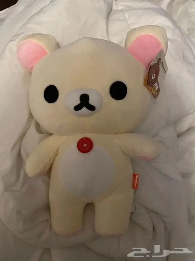 كورموي و الدب الياباني 1