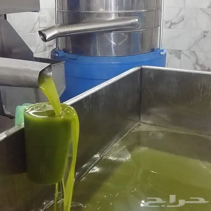 زيت زيتون فلسطيني 8
