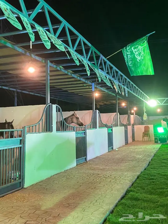 ركوب الخيل وتدريب ورحلات مربط ثراء مكة النوارية 9