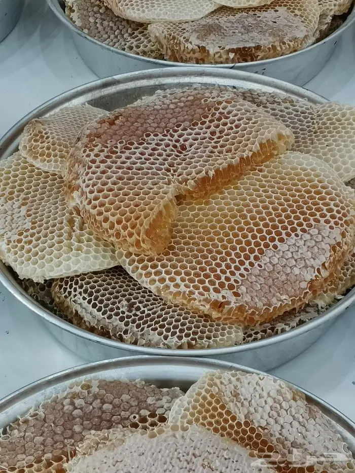 عسل سدر اصلي انتاج جديد 11