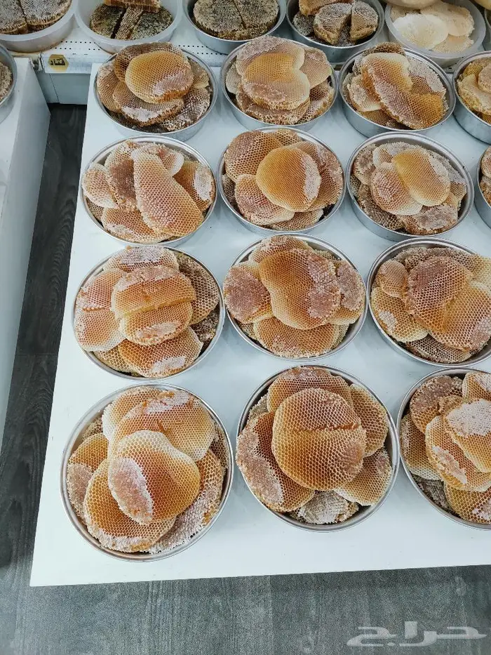 عسل سدر اصلي انتاج جديد 12