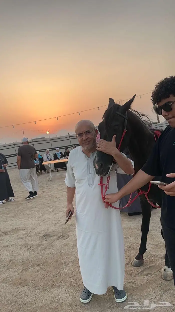 ركوب الخيل وتدريب ورحلات مربط ثراء مكة النوارية 4