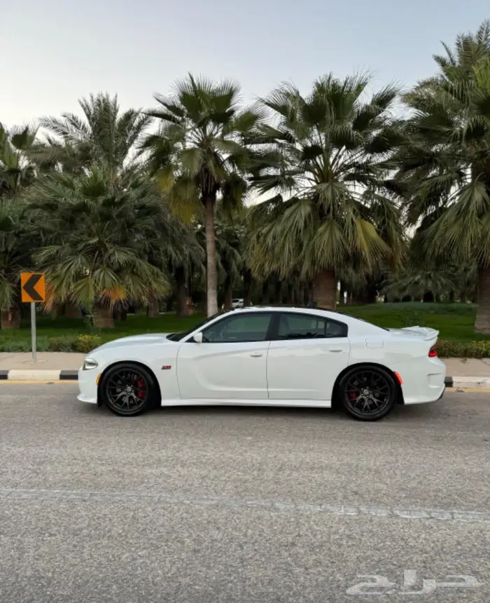 للبيع دوج تشارجر SRT 24