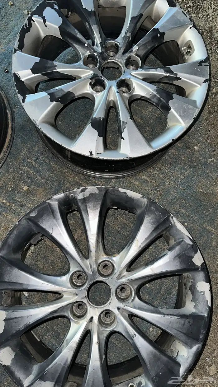 تجديد جنوط 1