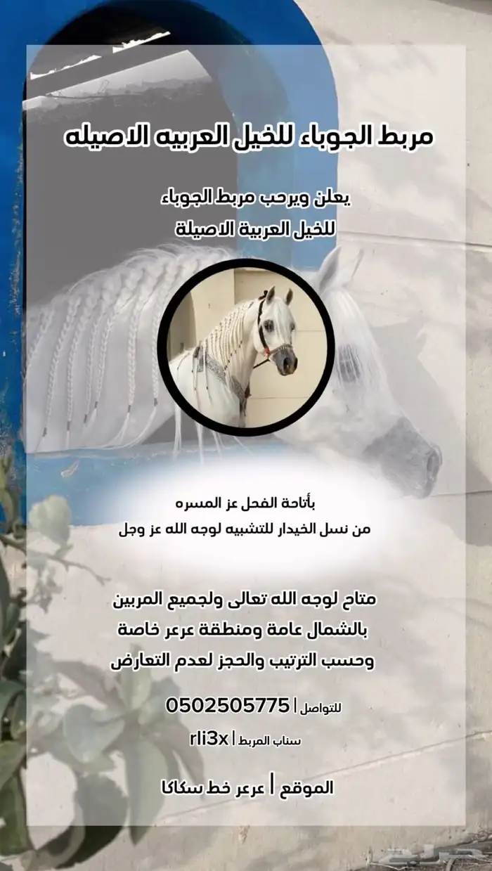 مربط خيل 0