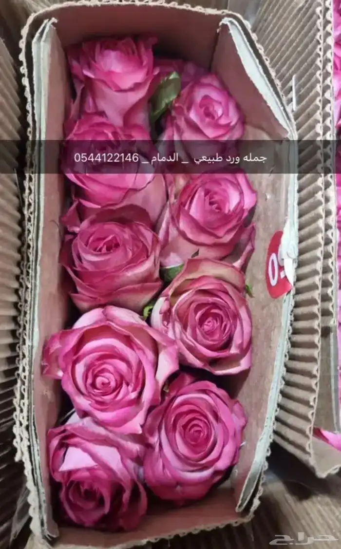 ورد جمله 9