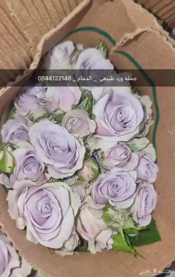 ورد جمله 12