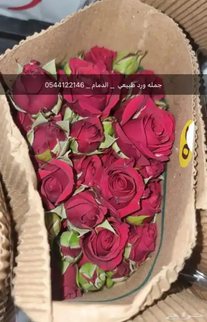 ورد جمله 7