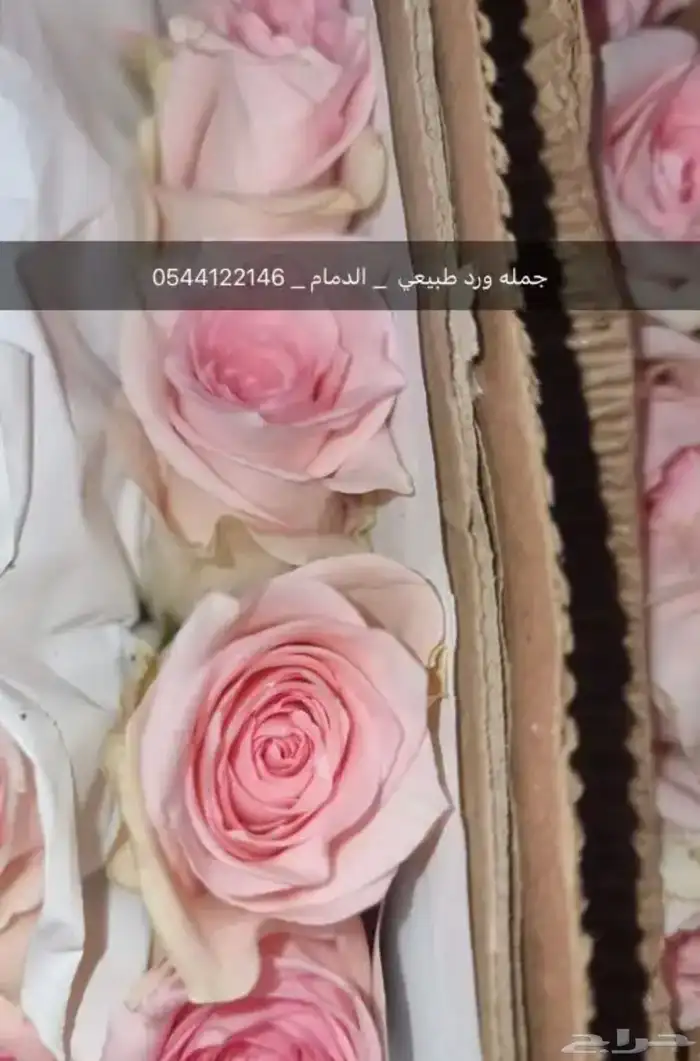 ورد جمله 13