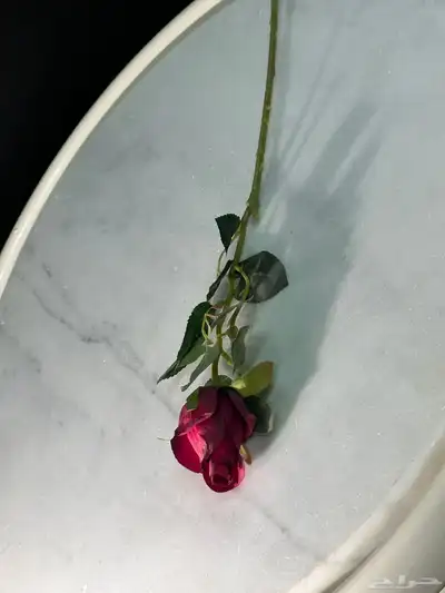 ورد صناعي جمله 3