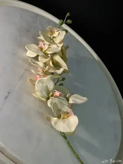 ورد صناعي جمله 9