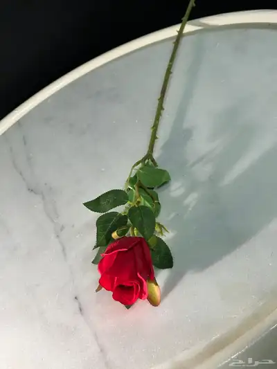 ورد صناعي جمله 4