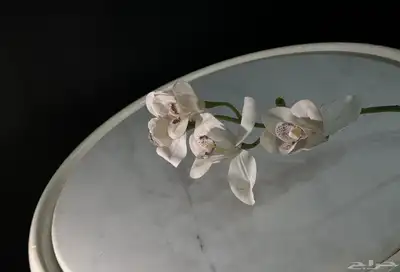 ورد صناعي جمله 1