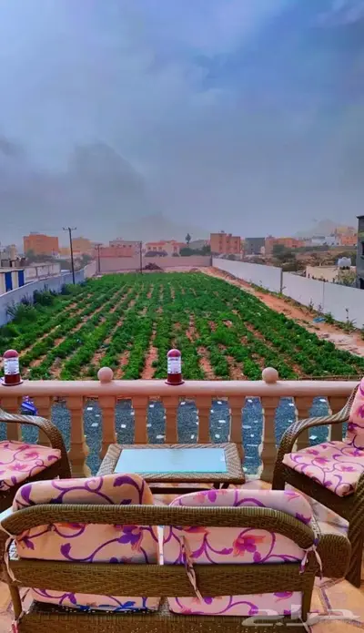 00شالية برستيج بتنومة الأكبر والأفخم00 15