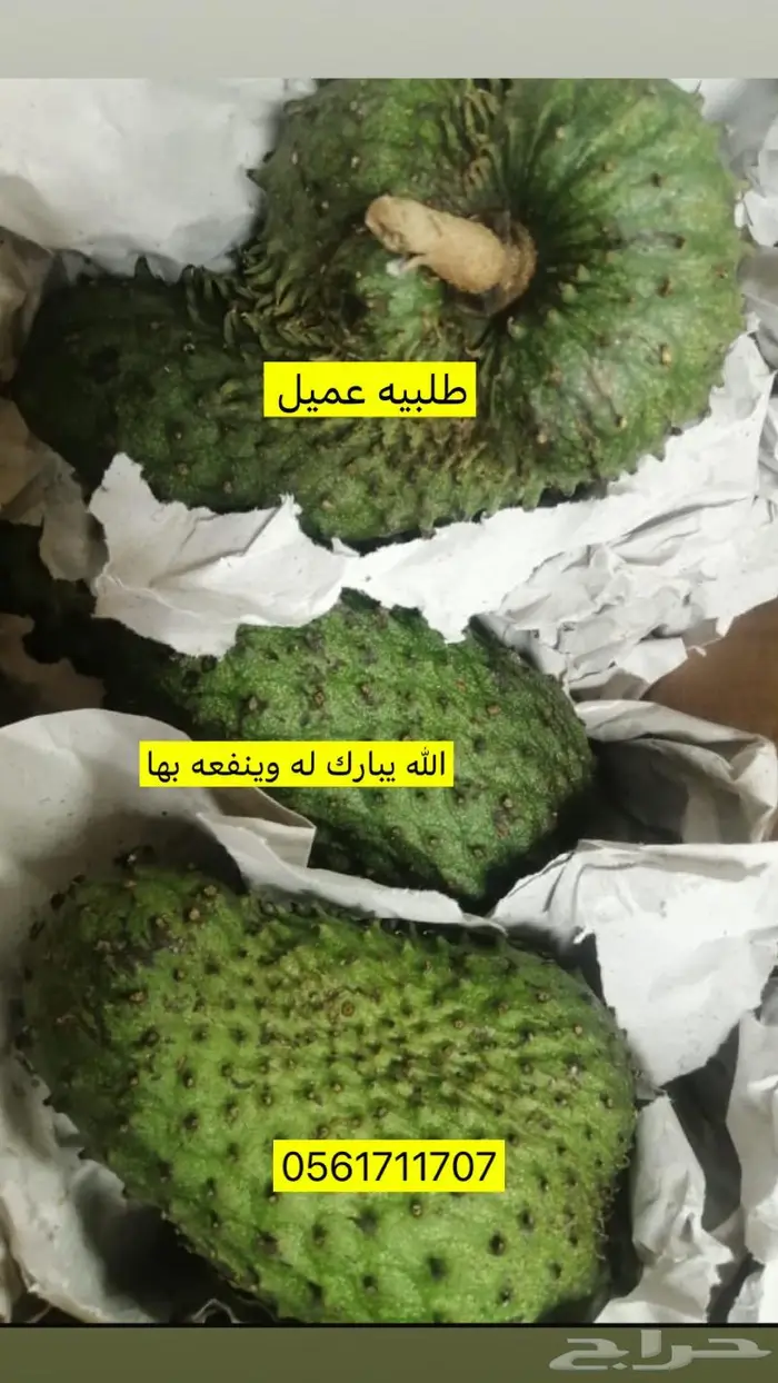 فاكهه القشطة الشائكة طازة 8