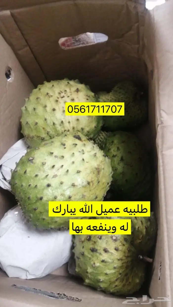 فاكهه القشطة الشائكة طازة 9