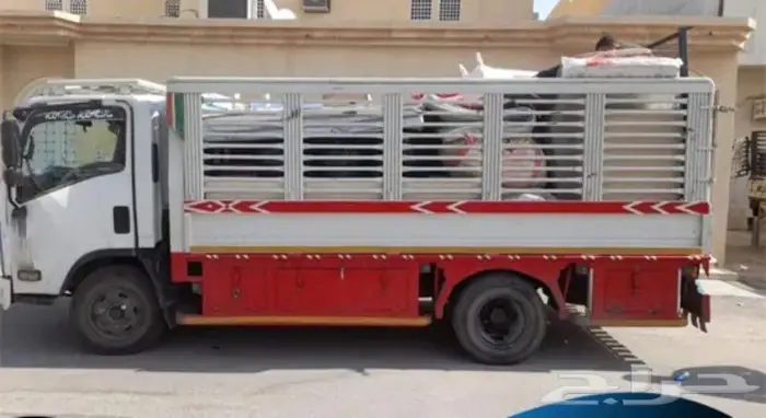 دينا ايسوزو نقل عام جميع انحاء المملكه 3