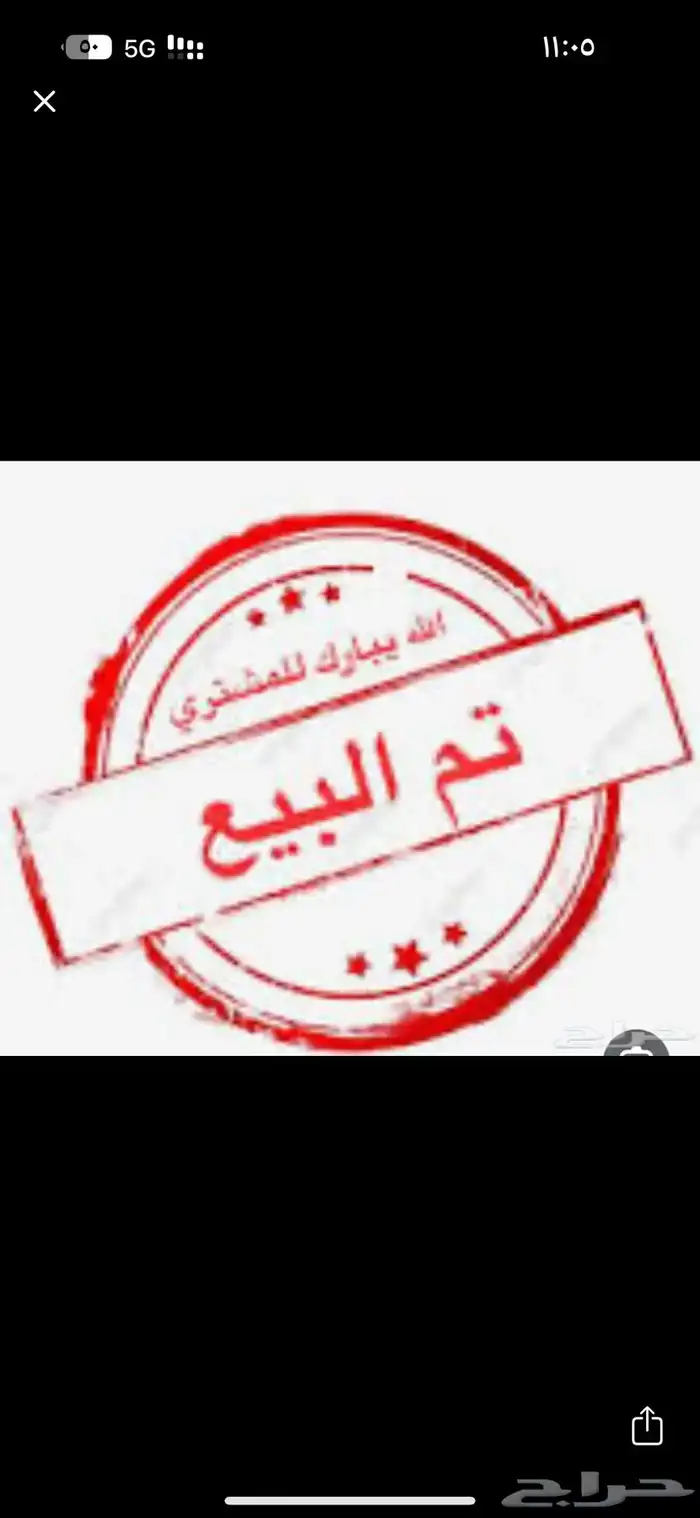 قعود وبكره 5
