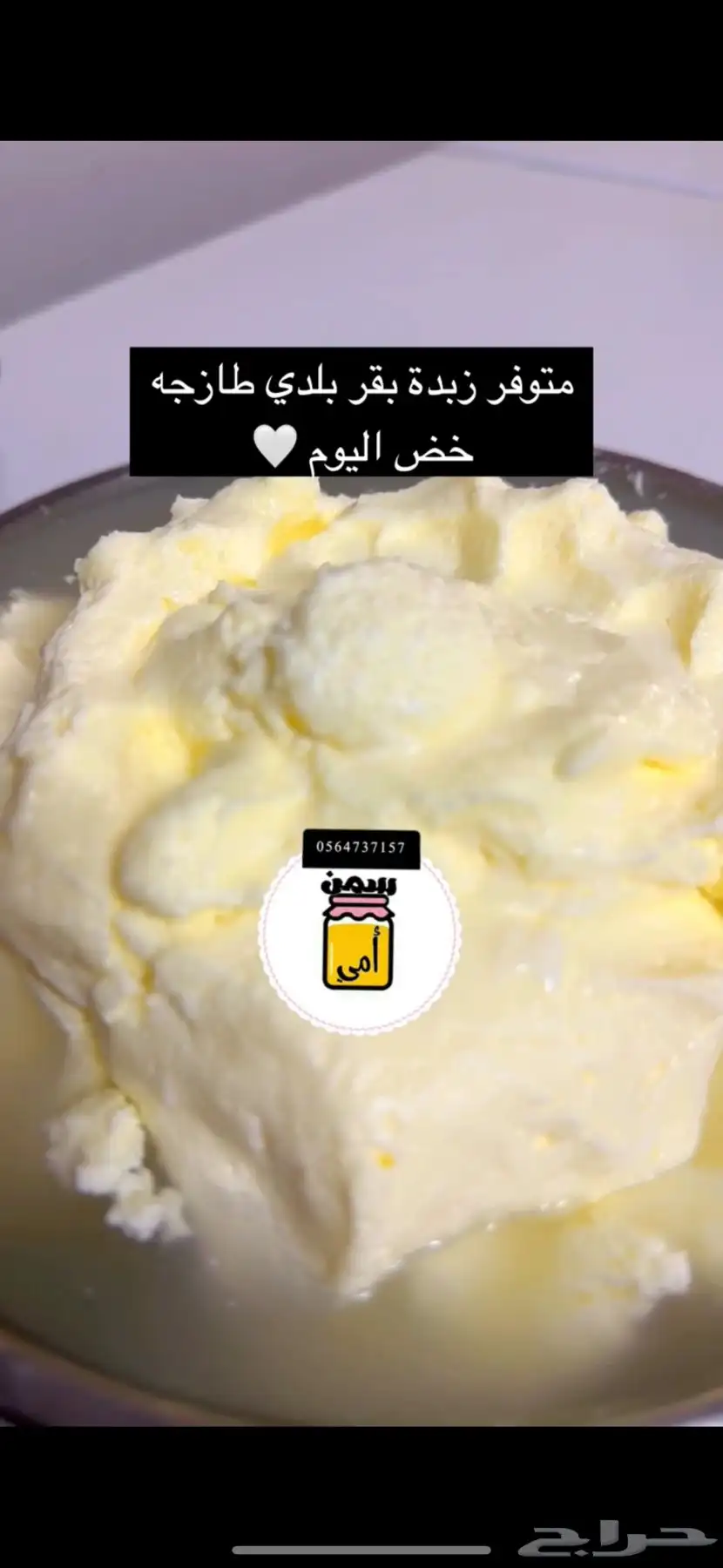سمن بقر بلدي ضمان الطعم والرائحه اللمميزه 5