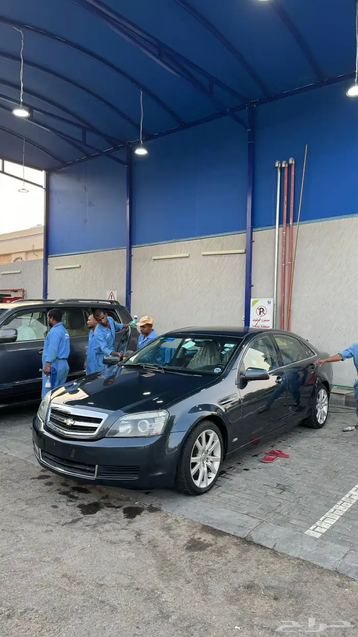 كابرس تركوازي تم البيع 16