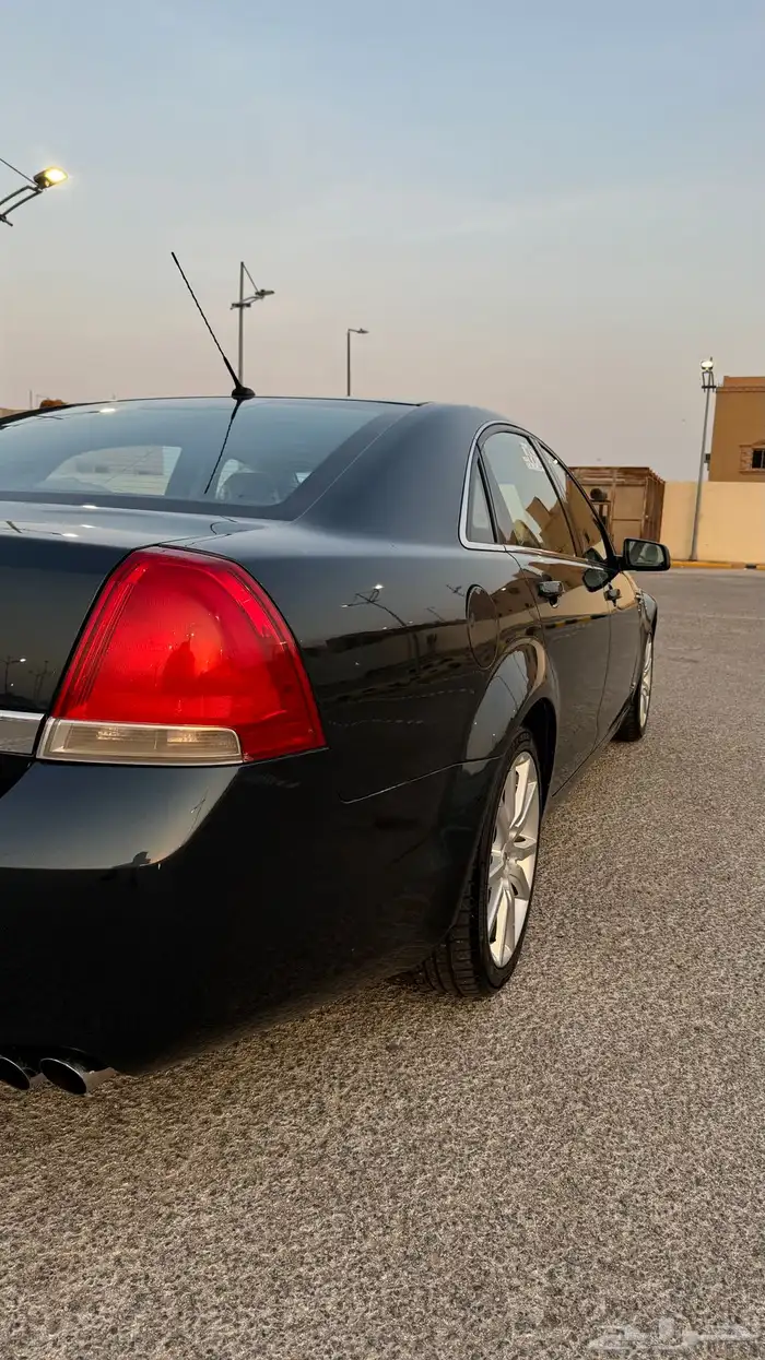 كابرس تركوازي تم البيع 11