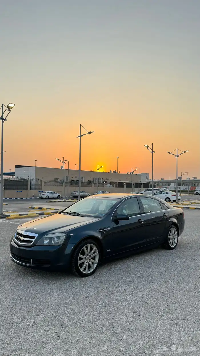 كابرس تركوازي تم البيع 14