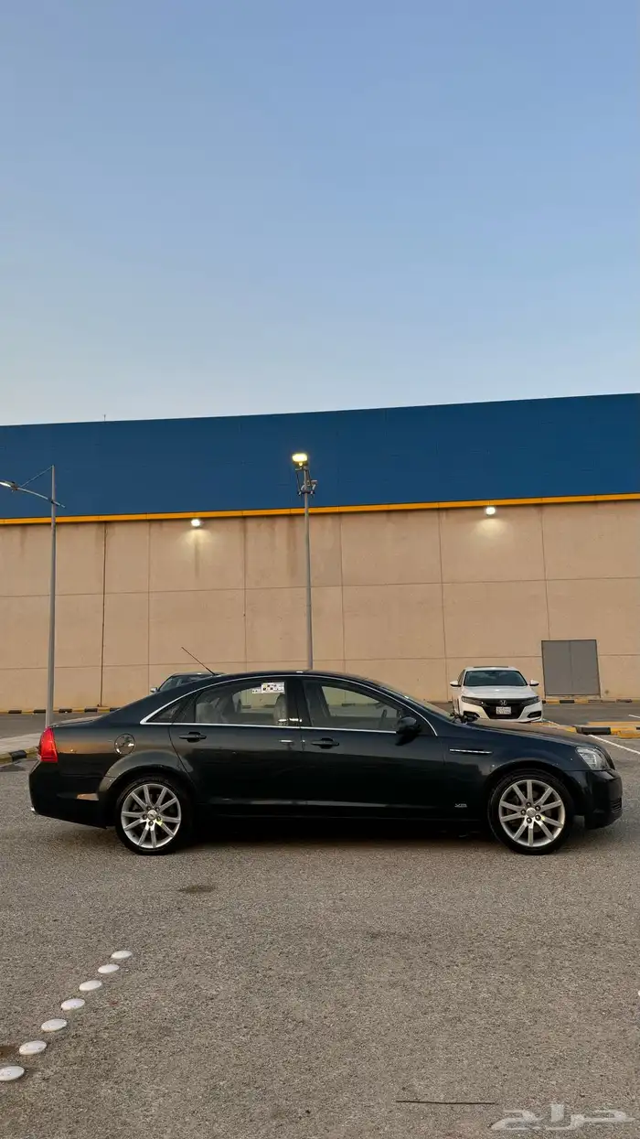 كابرس تركوازي تم البيع 13