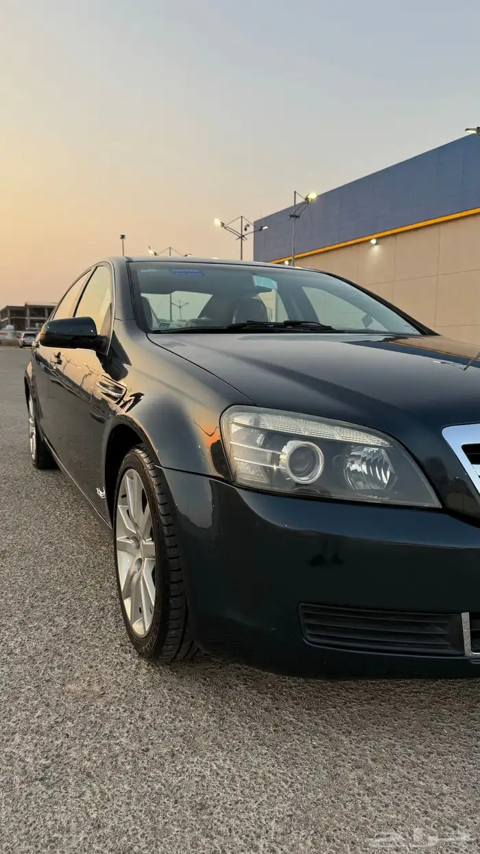 كابرس تركوازي تم البيع 9