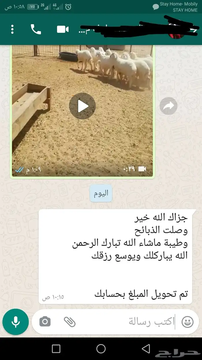 ذبيحتك لبيتك حري فاخر من الاخر 38