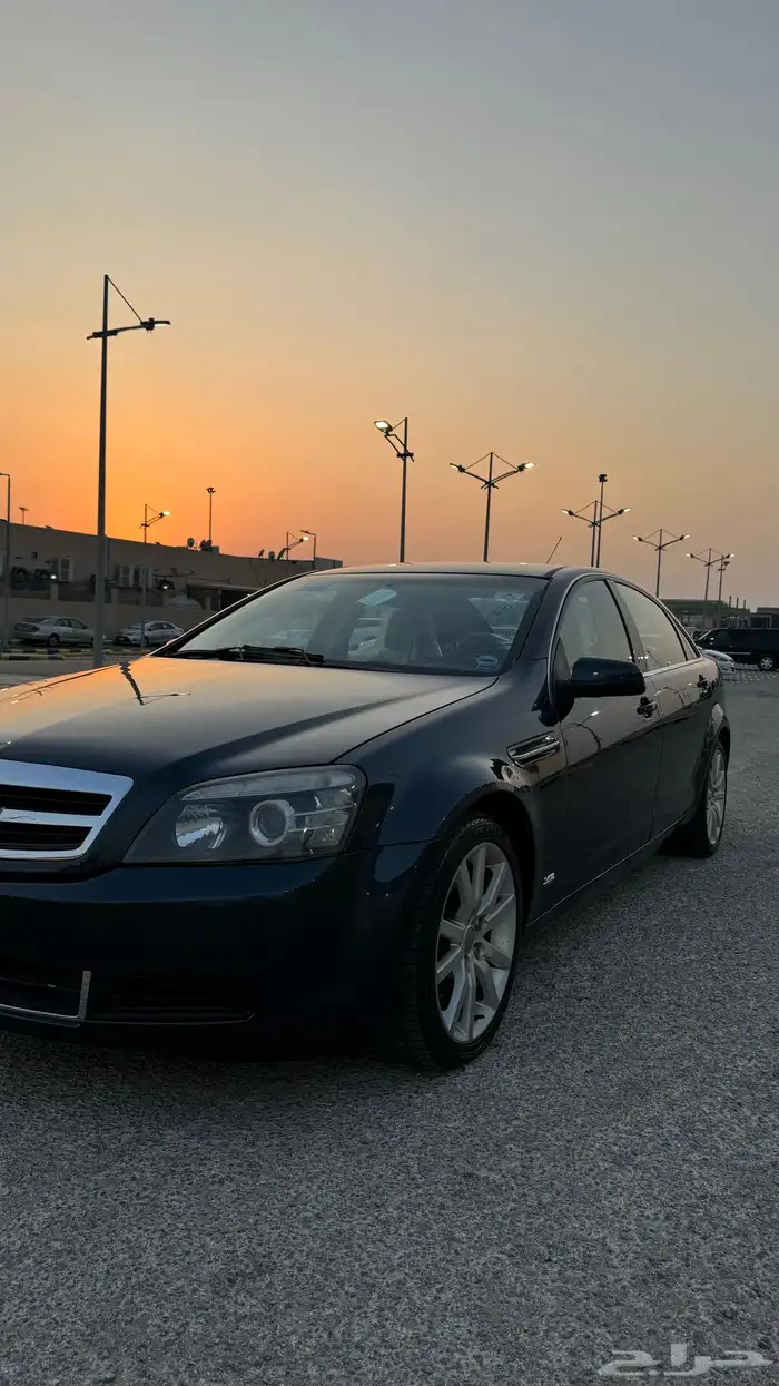 كابرس تركوازي تم البيع 8