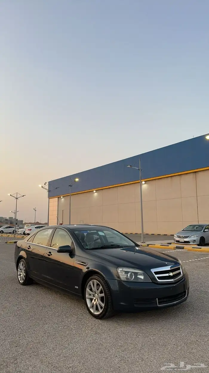 كابرس تركوازي تم البيع 2