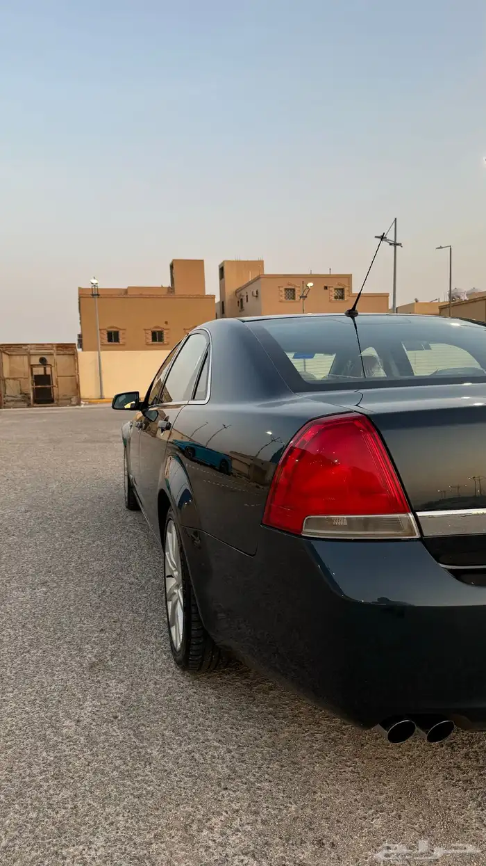 كابرس تركوازي تم البيع 12