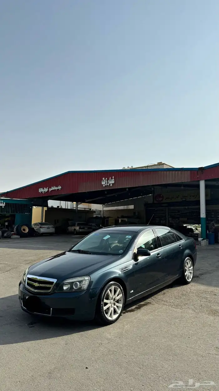 كابرس تركوازي تم البيع 0