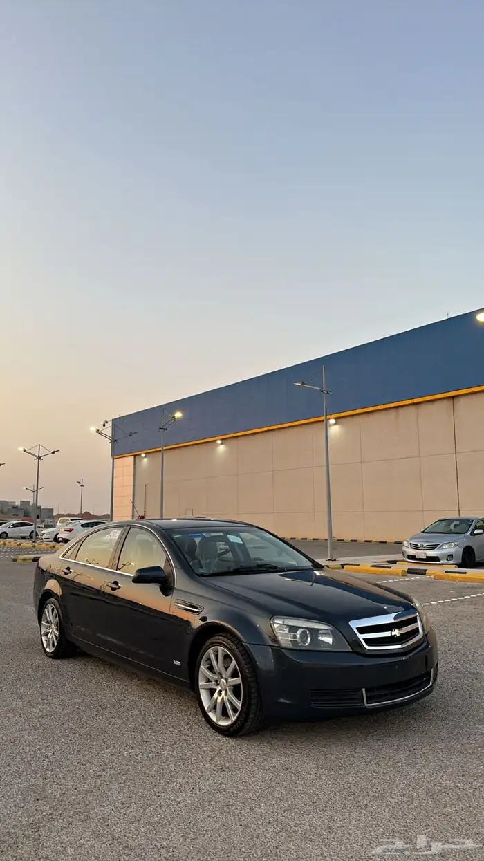 كابرس تركوازي تم البيع 3