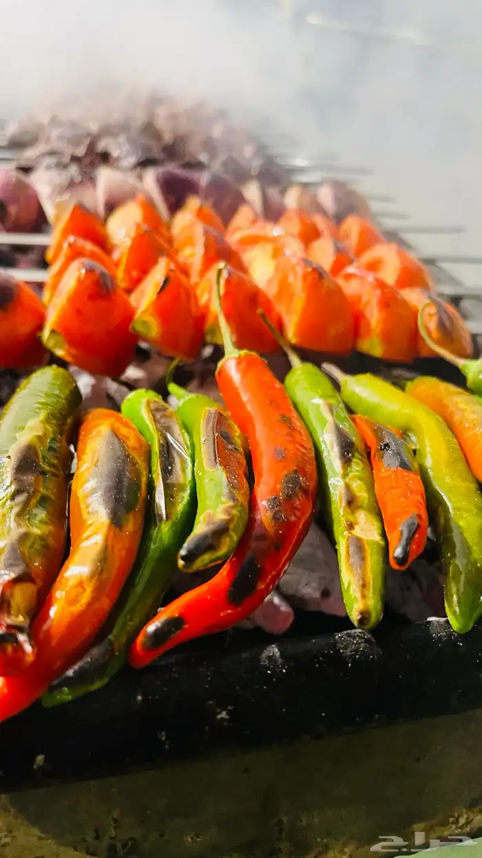 معلم مشويات خارجيه مشاوي خارجيه 9