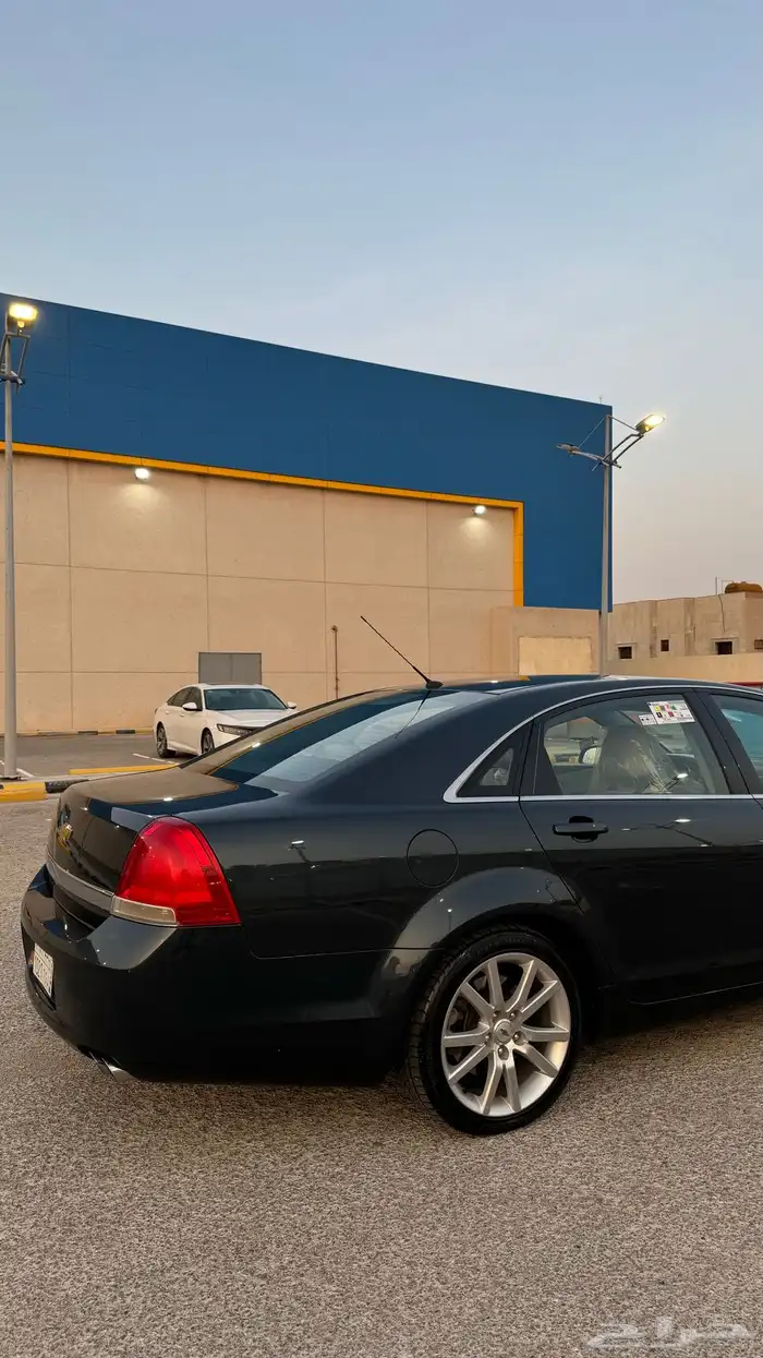 كابرس تركوازي تم البيع 7