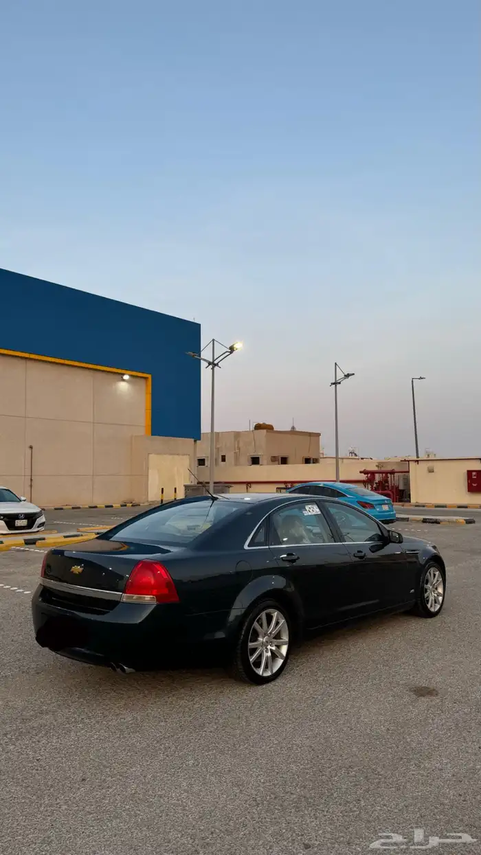 كابرس تركوازي تم البيع 1