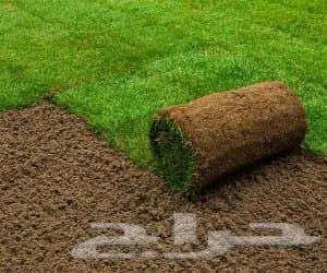 نجيلة درجة اولى مع التوصيل و التركيب 0