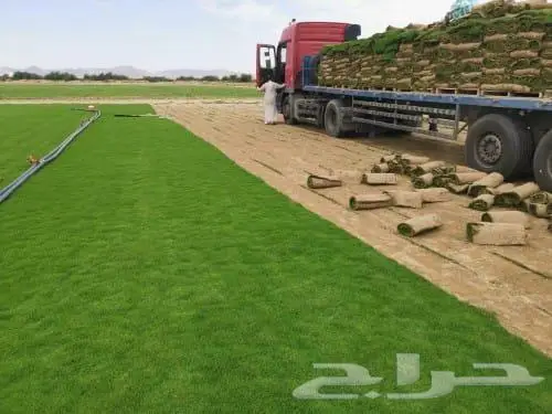 نجيلة درجة اولى مع التوصيل و التركيب 1