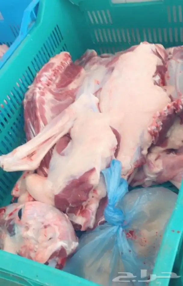 ذبيحتك لبيتك حري فاخر من الاخر 1