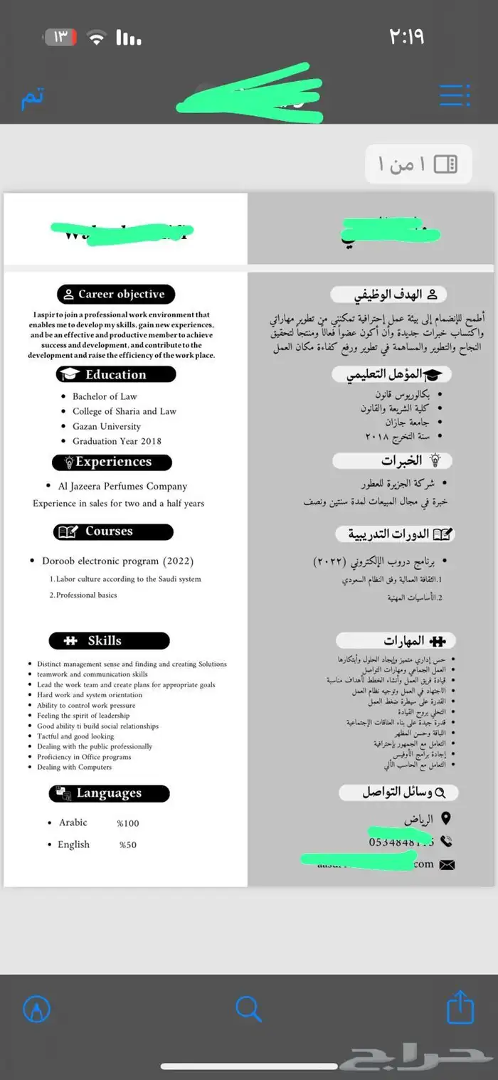 سيرة ذاتية احترافية 12