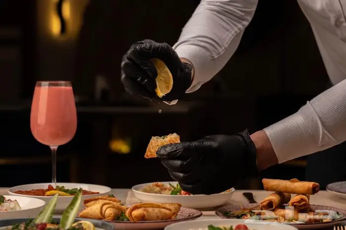 مصور محترف 2