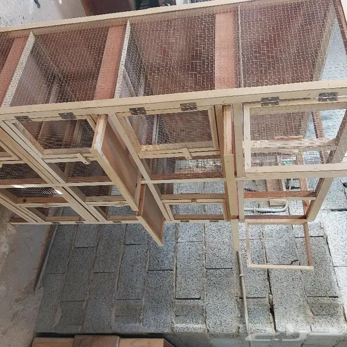 ينبع البحر 6