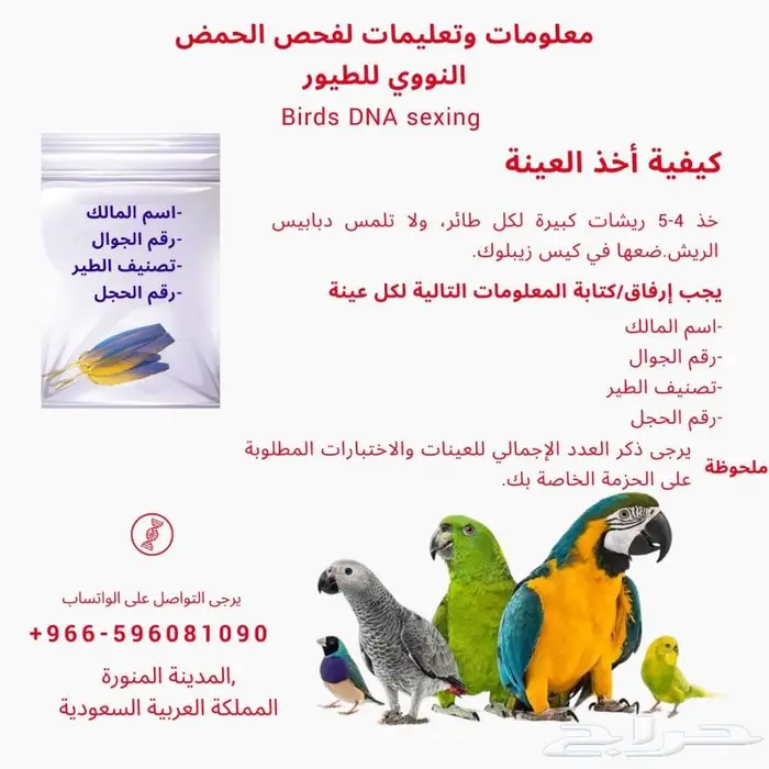 تحديد جنس الطيور بتحليل الحمض النوويDNA 2