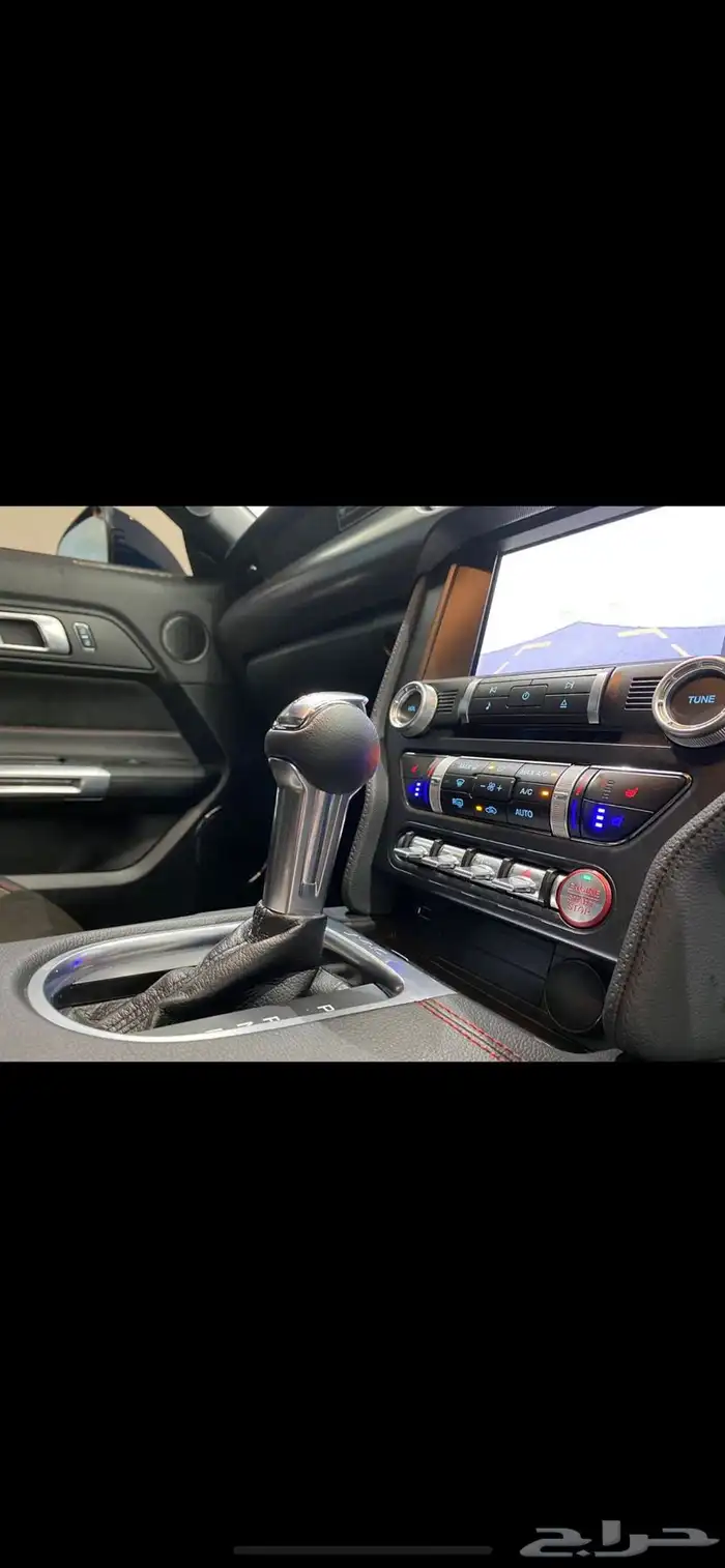 موستنج للايجار gt 1